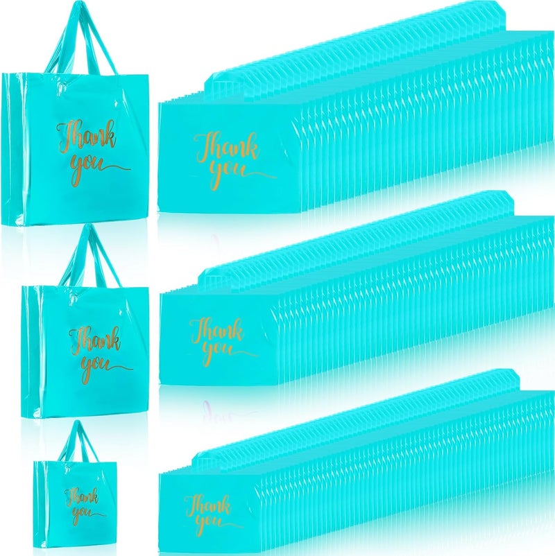 Teling 200 Pcs Thanks Bags with Handle Bulk Thank You Merchandise Bags 3 Size Plastic Packet Retail Shopping Package for Boutique 9 x 12'', 12 x 15'', 15 x 18''(Sky Blue) - Image 1